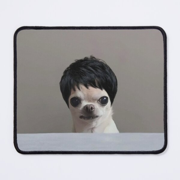 Item preview, Chihuahua in a wig designed and sold by monkey zone.