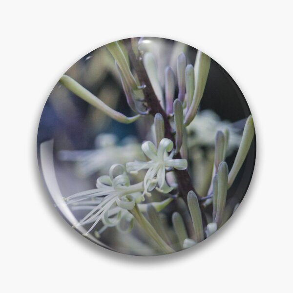 Item preview, bloomed Dracaena flowers designed and sold by ROSE ANN BANILAR.