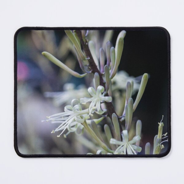 Item preview, bloomed Dracaena flowers designed and sold by ROSE ANN BANILAR.