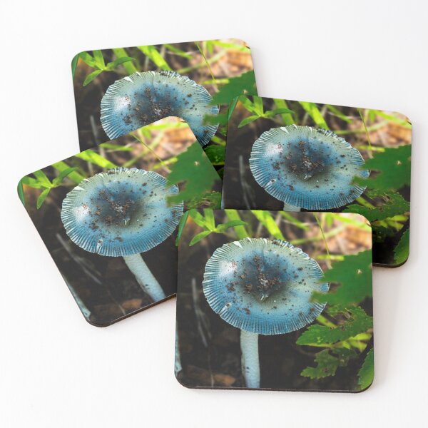 Item preview, Hidden beauty designed and sold by Falens-Photos.