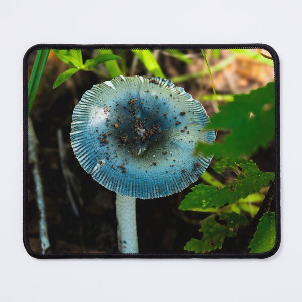 Item preview, Hidden beauty designed and sold by Falens-Photos.