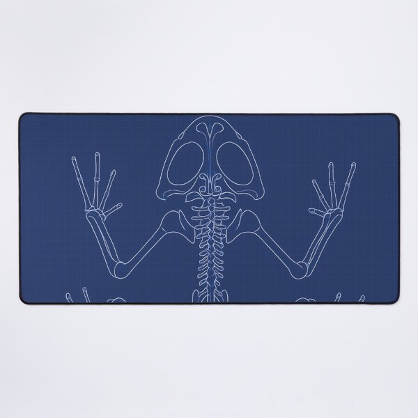 Item preview, Blueprint, Frog Anatomy designed and sold by Mauswohn.