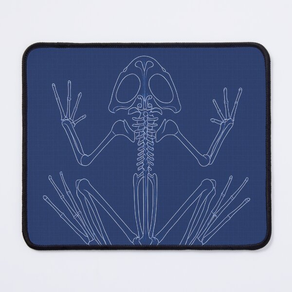 Item preview, Blueprint, Frog Anatomy designed and sold by Mauswohn.