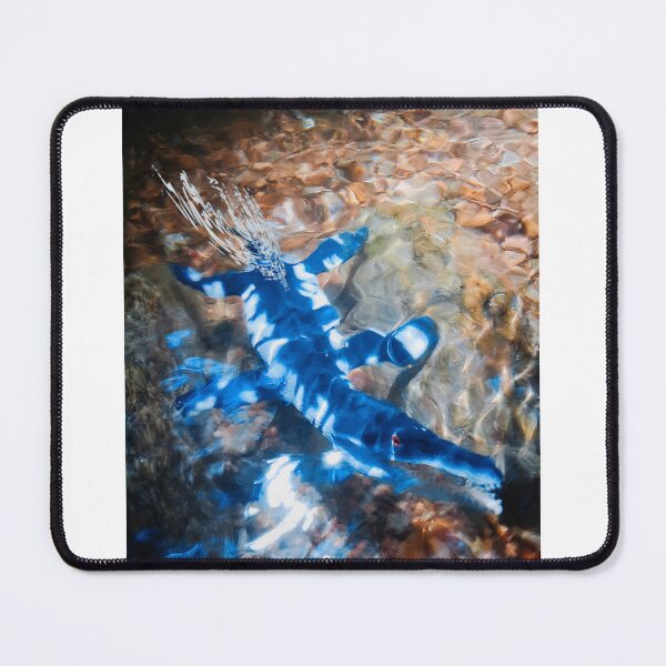 Item preview, Cruising The Shallows designed and sold by Honorguard117.