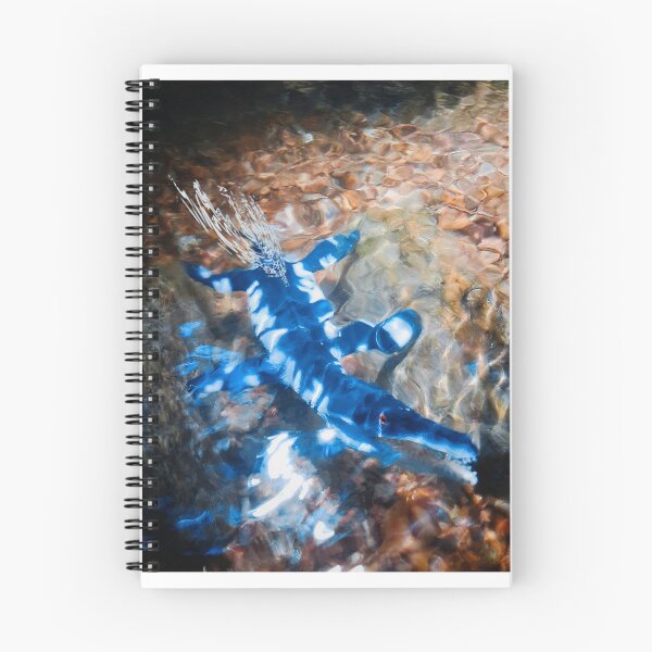 Item preview, Cruising The Shallows designed and sold by Honorguard117.