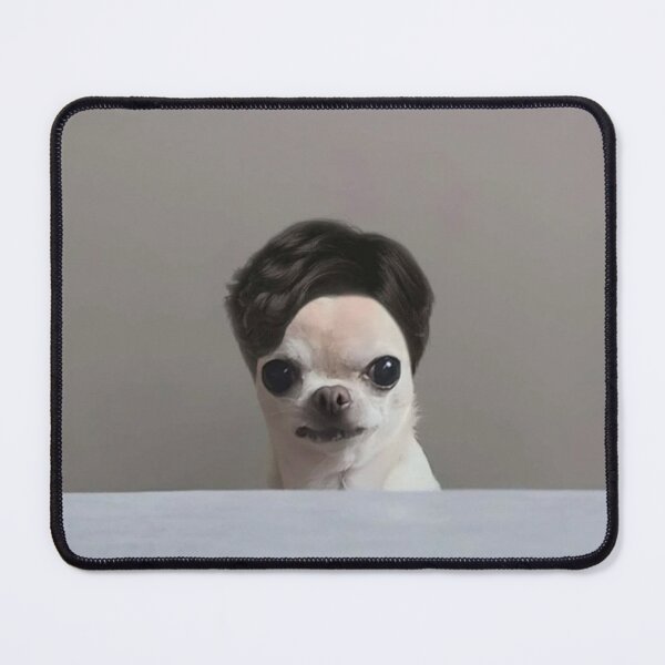Item preview, Chihuahua in a wig designed and sold by monkey zone.