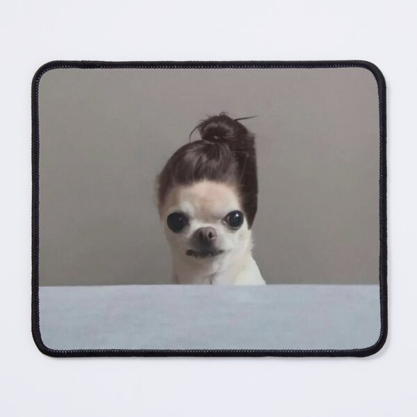 Item preview, Chihuahua in a wig designed and sold by monkey zone.