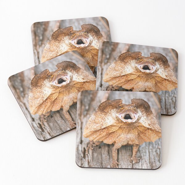 Item preview, Frilled-neck Lizard designed and sold by robdwildlife.