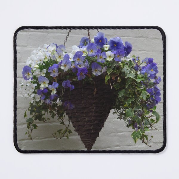 Item preview, Hanging Basket designed and sold by wiggyofipswich.