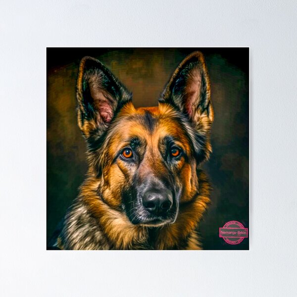 Aperçu de l'œuvre Portret Nemačkog Ovčara | Portrait de chien de berger allemand créée et vendue par Nemanja- Toro.