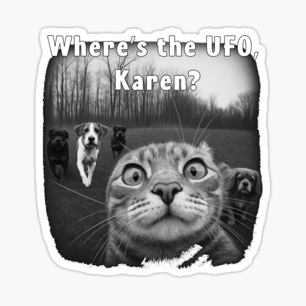 Item preview, Where’s the UFO, Karen? – Funny Cat Meme Design designed and sold by GuizJese.