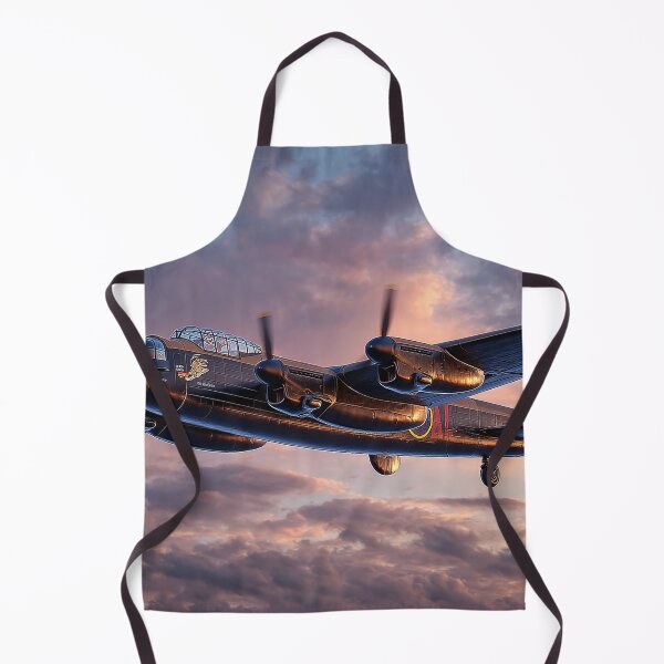 Item preview, Precision from the Past designed and sold by Skyframe Aviation.