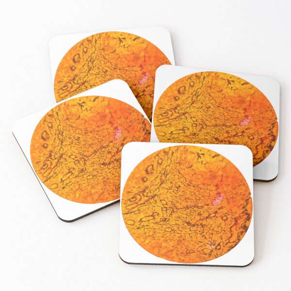 Item preview, Microscopic Masterpiece Histology Slide designed and sold by Paws-e-whiskers.