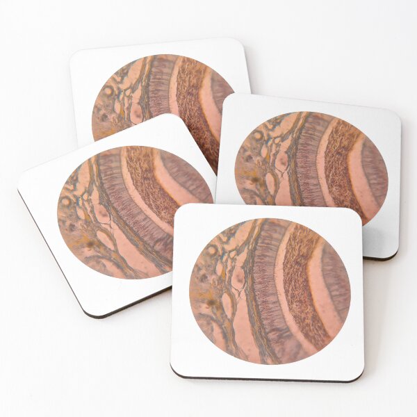 Item preview, Layered Symmetry – Microscopic Tissue Art Histology Slide designed and sold by Paws-e-whiskers.