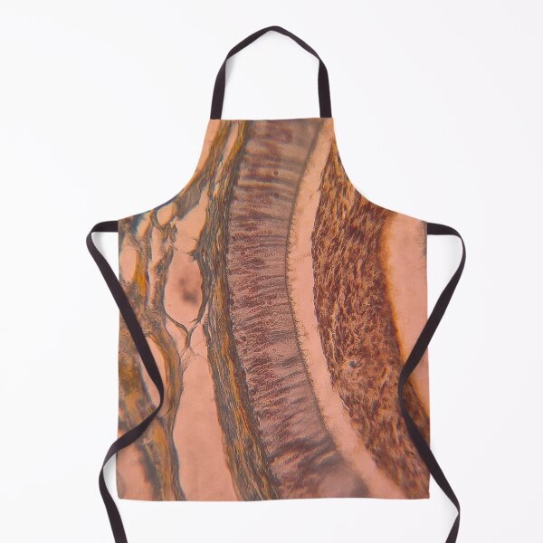 Item preview, Layered Symmetry – Microscopic Tissue Art Histology Slide designed and sold by Paws-e-whiskers.