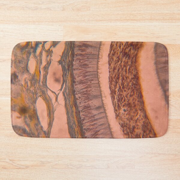 Item preview, Layered Symmetry – Microscopic Tissue Art Histology Slide designed and sold by Paws-e-whiskers.