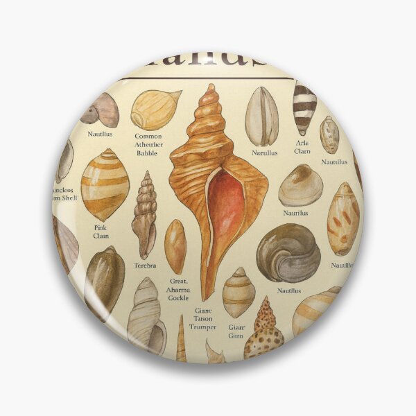 Item preview, Shells of the Ryukyu Islands Poster designed and sold by Shima Roots.