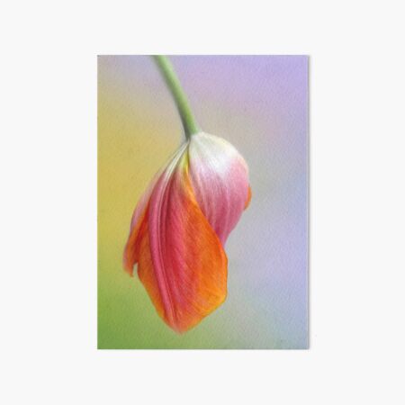 Item preview, Pastel Petal designed and sold by Jessica Jenney.