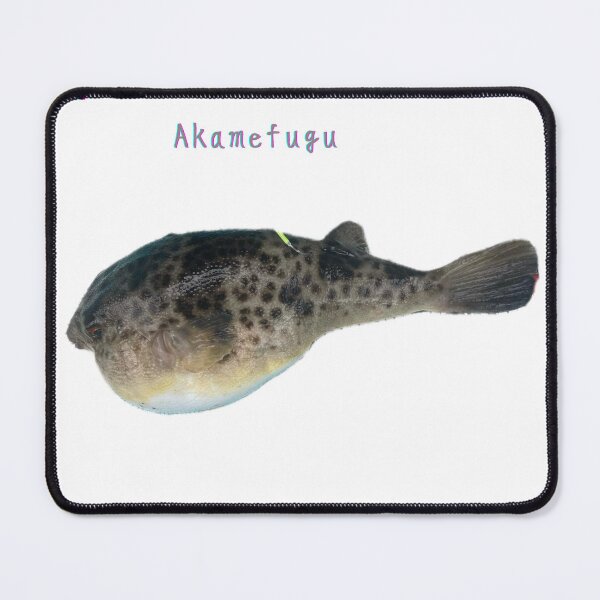 Item preview, No.025 - Akame Fugu (Red-Eyed Pufferfish) | 100 Fish Art Series designed and sold by taichi69nz.