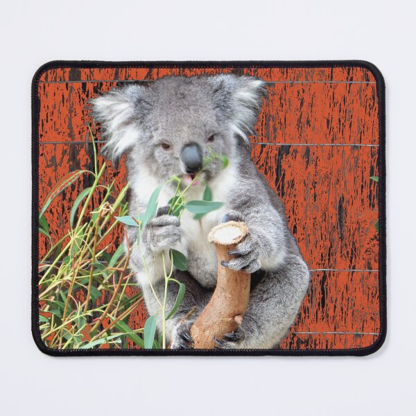 Item preview, Koala Snack Time designed and sold by Yolanda Caporn Art.