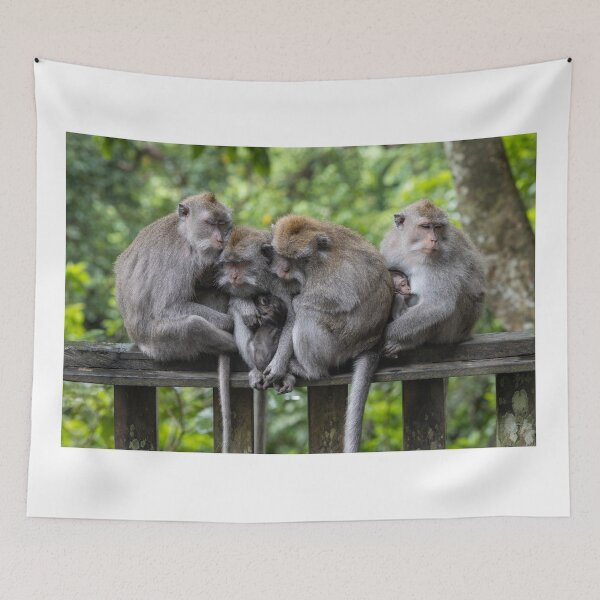 Item preview, Monkey Mayhem designed and sold by shegoes-photo.