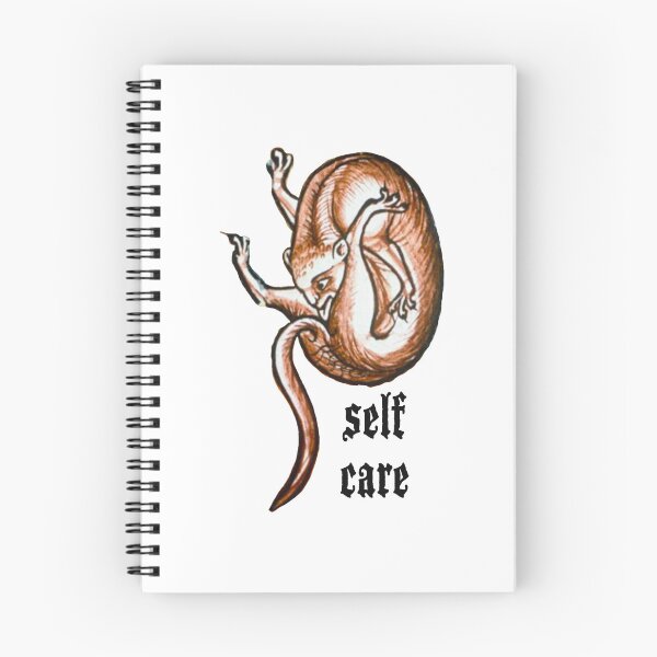 Item preview, medieval cat self care  designed and sold by jessomade.