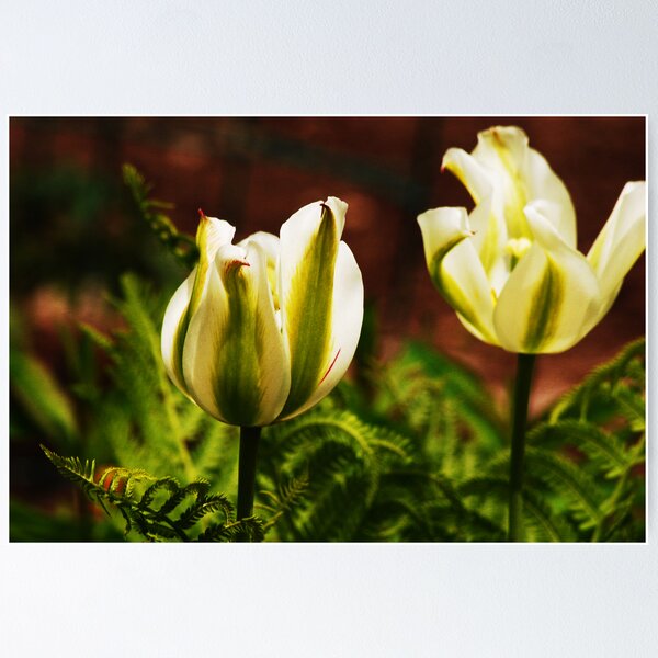 Item preview, Green Tulips designed and sold by LudaNayvelt.