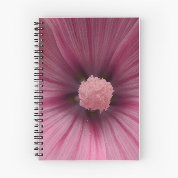 Item preview, Close-Up of Pink Mallow Flower designed and sold by Goiko7Margarita.