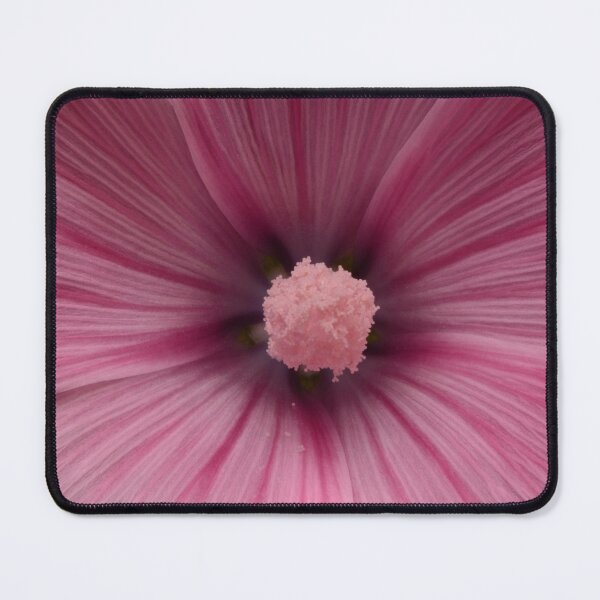 Item preview, Close-Up of Pink Mallow Flower designed and sold by Goiko7Margarita.