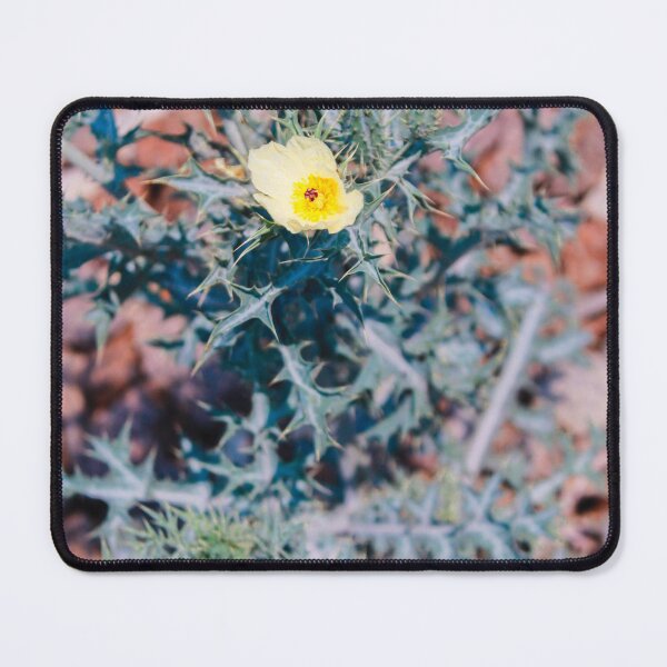 Item preview, Desert Plant designed and sold by thecustomslug.