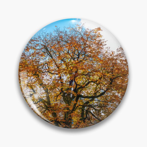 Item preview, Beautiful Old Town with a Tree in a Sunny Day in Autumn in Biel designed and sold by Mats Silvan.