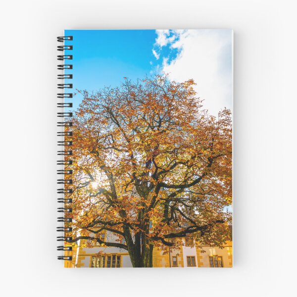 Item preview, Beautiful Old Town with a Tree in a Sunny Day in Autumn in Biel designed and sold by Mats Silvan.
