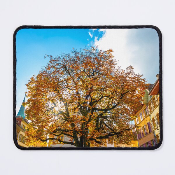Item preview, Beautiful Old Town with a Tree in a Sunny Day in Autumn in Biel designed and sold by Mats Silvan.