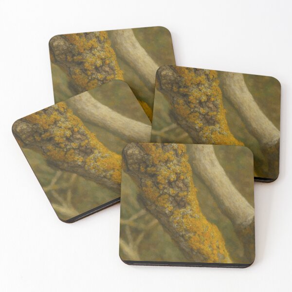 Item preview, Ghostly Elder Trees of Spurn. 13 designed and sold by Roland Keates aka Lost Histories .