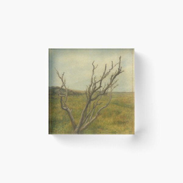 Item preview, Ghostly Elder Trees of Spurn. 14 designed and sold by Roland Keates aka Lost Histories .