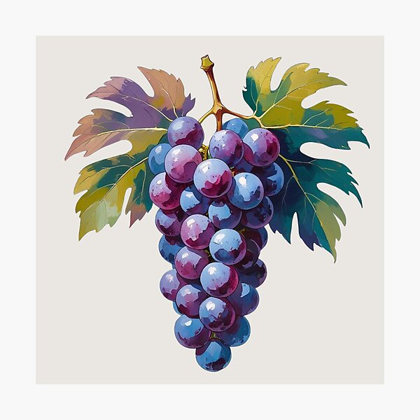 Item preview, Autumn Grape Illustration – Cozy Fall Fruit Art for Stickers, Harvest Decor, Kitchen Prints & Vineyard-Inspired Gifts designed and sold by Timeless Decor.