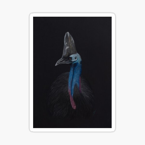 "Horatio" the Cassowary Sticker