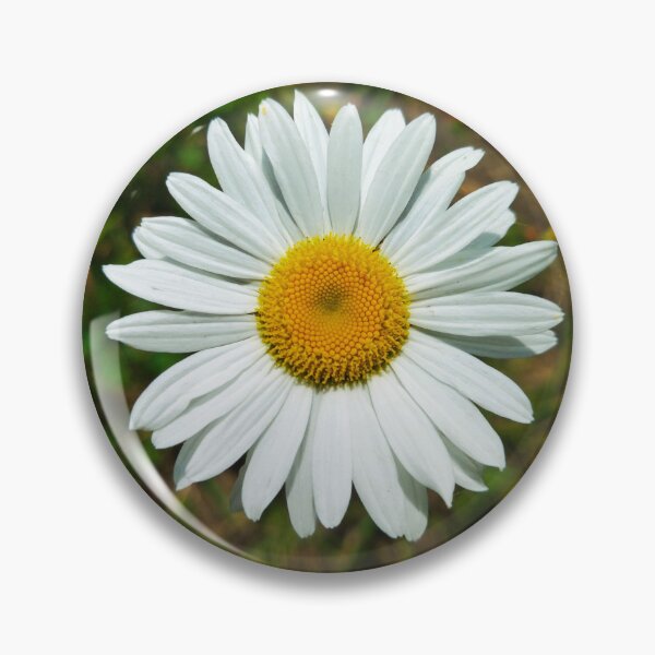 Item preview, Chamomile Flower Photo designed and sold by Sky-99.