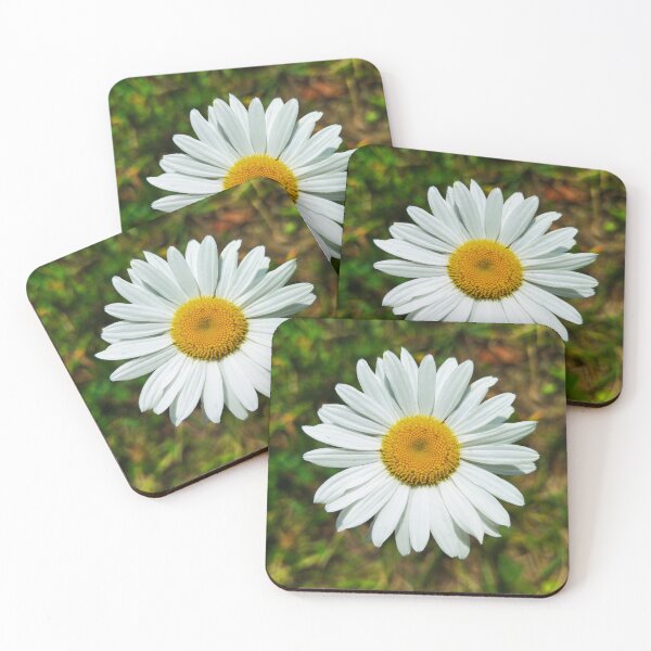 Item preview, Chamomile Flower Photo designed and sold by Sky-99.