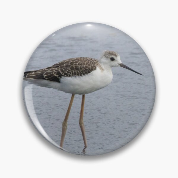 Item preview, Black Winged Stilt designed and sold by LaurenTucker.