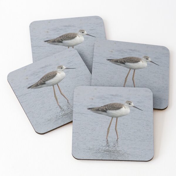 Item preview, Black Winged Stilt designed and sold by LaurenTucker.