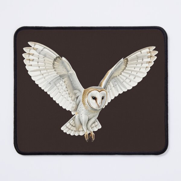 Item preview, Barn Owl designed and sold by 4rtistcDrift.