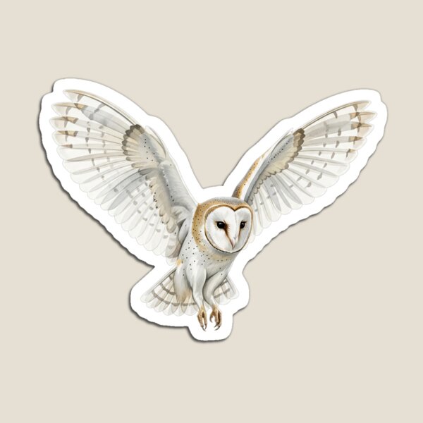 Item preview, Barn Owl designed and sold by 4rtistcDrift.