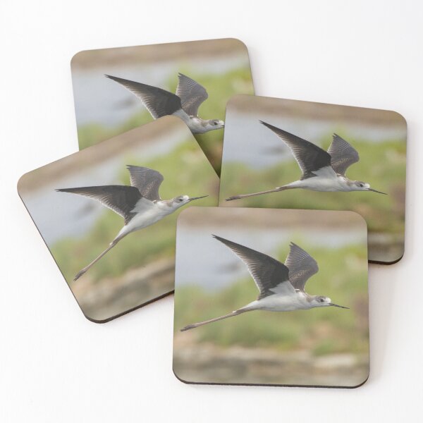 Item preview, Black Winged Stilt designed and sold by LaurenTucker.