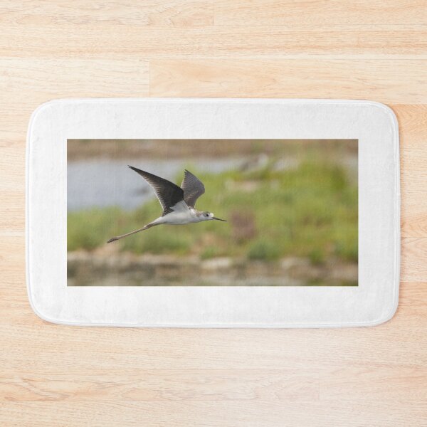 Item preview, Black Winged Stilt designed and sold by LaurenTucker.