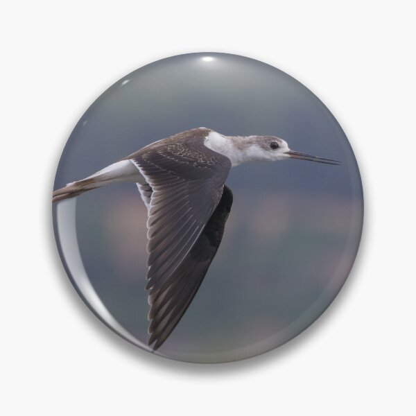 Item preview, Black Winged Stilt designed and sold by LaurenTucker.