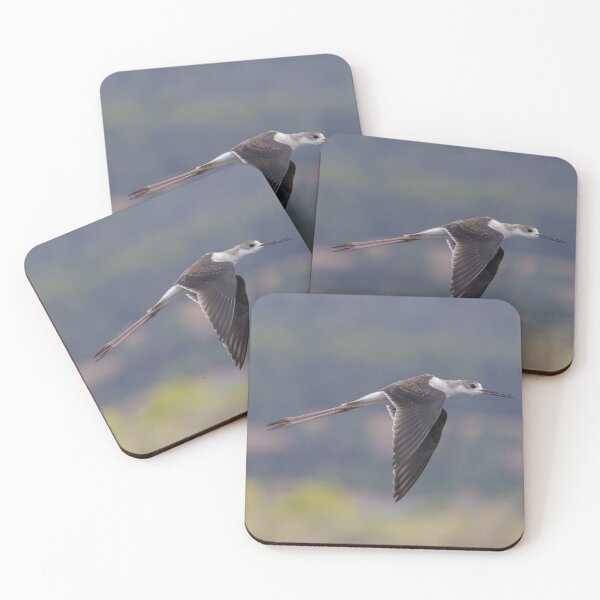 Item preview, Black Winged Stilt designed and sold by LaurenTucker.