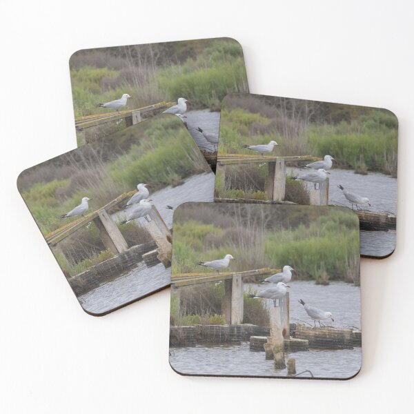 Item preview, Audouin's Gull designed and sold by LaurenTucker.