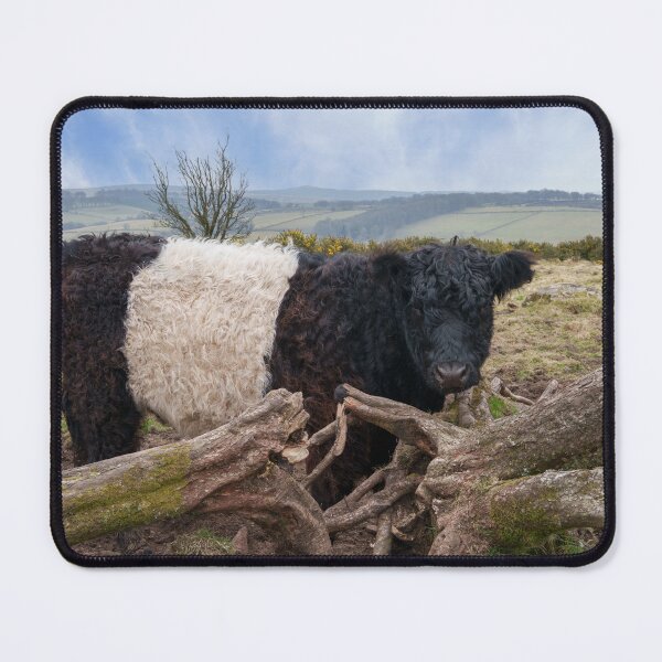 Item preview, Oreo Cow Among Rolling Heather Hills designed and sold by rawshutterbug.
