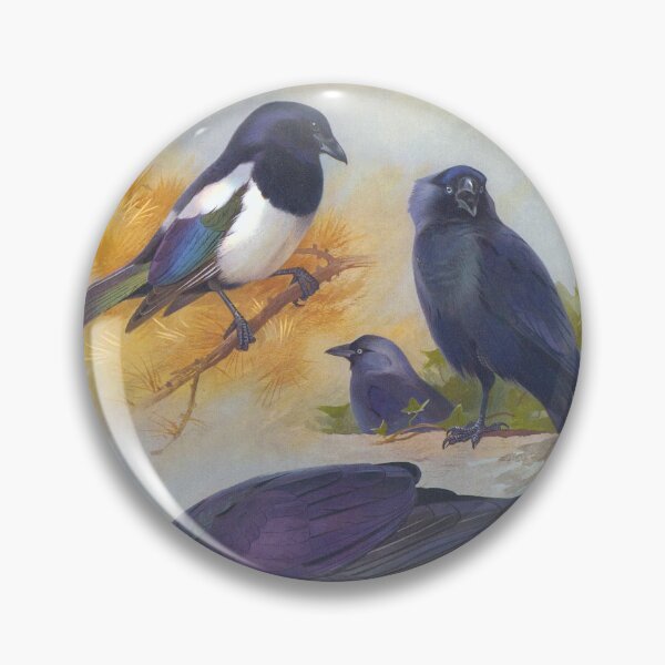 Item preview, Archilbald Thorburn's British Birds 1916 designed and sold by Lloyd Library & Museum.